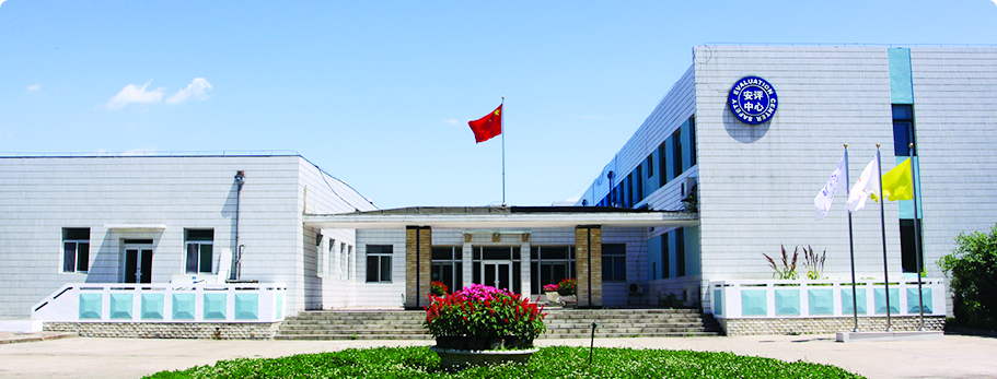 ����ᡤjinnian(�й���)�ٷ���վ