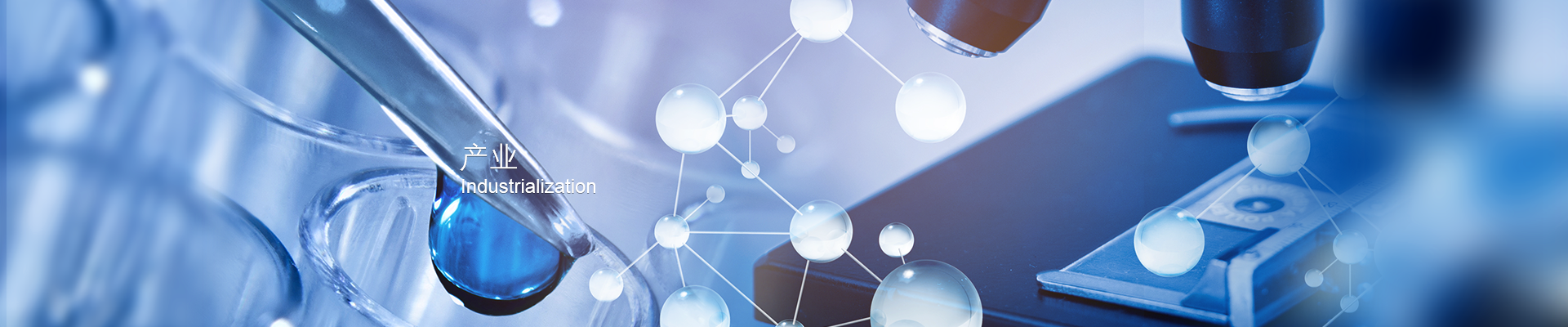 ����ᡤjinnian(�й���)�ٷ���վ